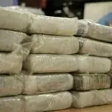Incautan más de 430 kilos de drogas en Bailadores