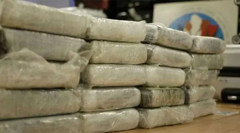 Incautan más de 430 kilos de drogas en Bailadores