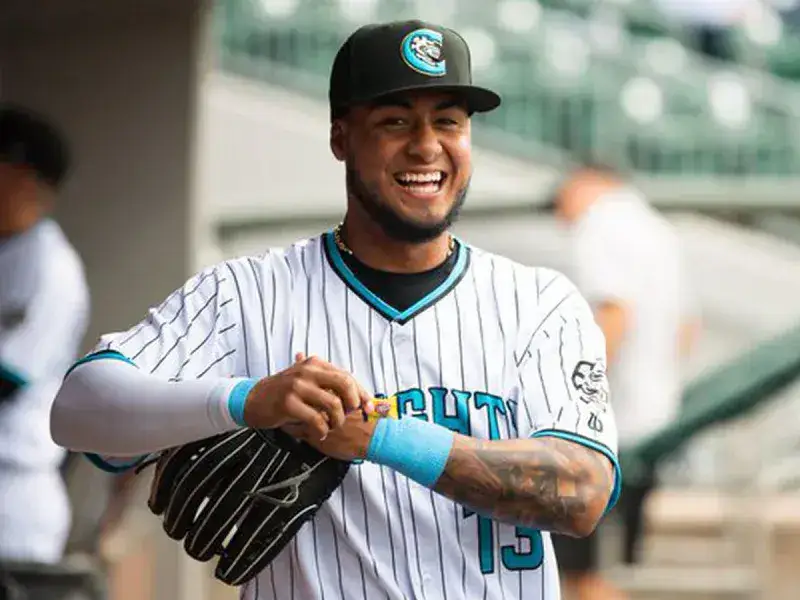 Lenyn Sosa llamado a MLB por Medias Blancas