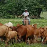 Proproductores del estado Bolívar suman cuatro meses sin gasoil