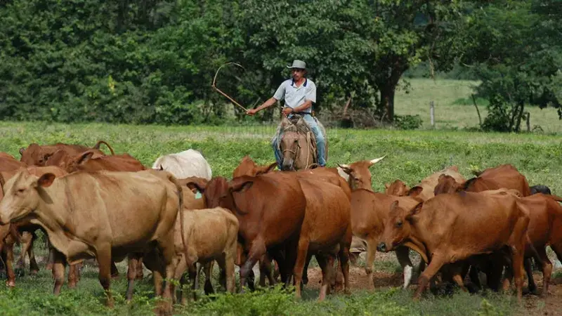 Proproductores del estado Bolívar suman cuatro meses sin gasoil