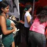Monagas abre centro para ayudar a mascotas damnificadas