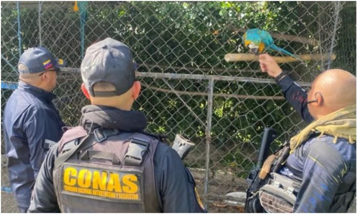 Rescatan 19 animales de zoológico clandestino