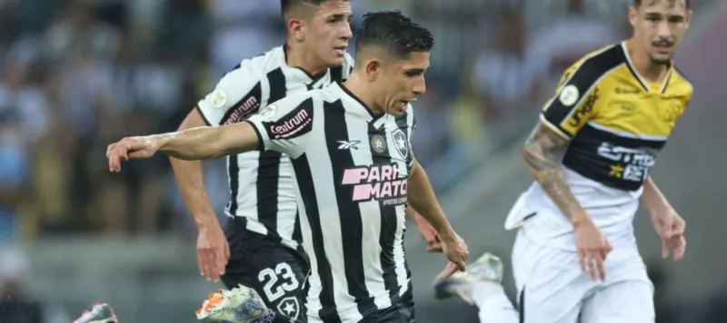 Botafogo de Savarino se mantuvo puntero del Brasileirao