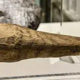 
				¿Cómo usaban los romanos el presunto objeto sexual hallado en Inglaterra?			
