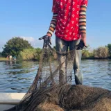 Petróleo fondeado en el Lago perjudica la pesca en San Francisco