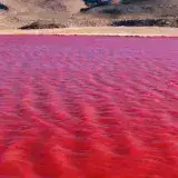
			¿Sangre en el Nilo?: El río se tiñe de rojo y causa conmoción en redes sociales (VIDEO)		