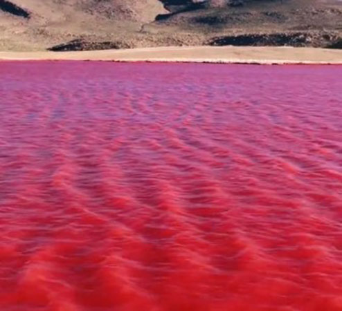 ¿Sangre en el Nilo?: El río se tiñe de rojo y causa conmoción en redes sociales (VIDEO)