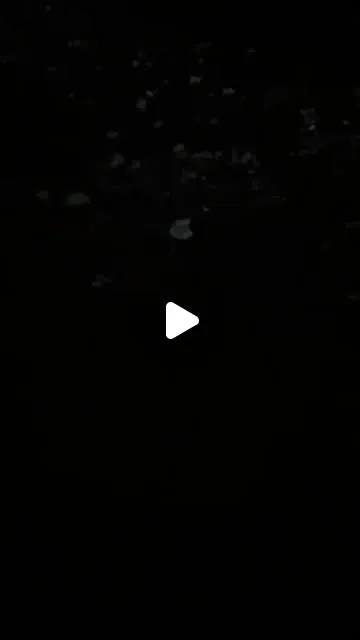 Publicación de Instagram de Roman Camacho