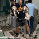Rescate de mascotas tras los sismos en Venezuela suma apoyo y emotivas reacciones