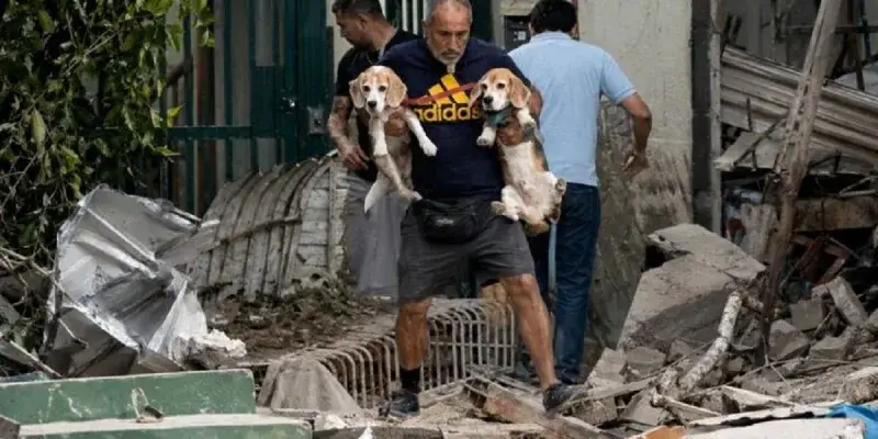 Rescate de mascotas tras los sismos en Venezuela suma apoyo y emotivas reacciones