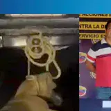 
			Capturado sujeto que asesinó y arrastró a un perro por las calles de Barinas		