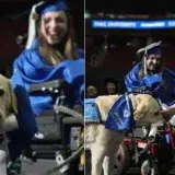 Justin, el perro guía que recibió su diploma en Seton Hall