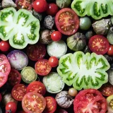Can eating more tomatoes daily help lower high blood pressure?