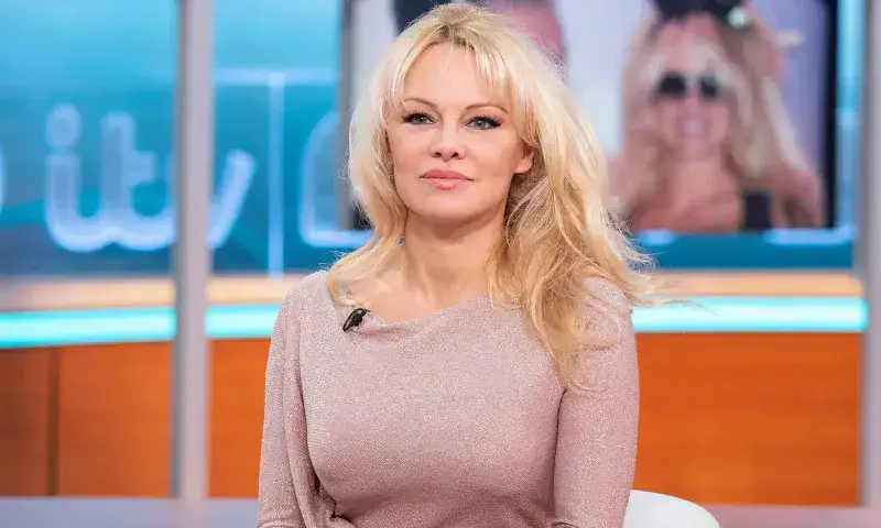 Desaparece foto de Pamela Anderson para alertar a líderes del G20