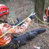 Search and Rescue team conducting an operation on a forest slope using safety ropes and helmets.