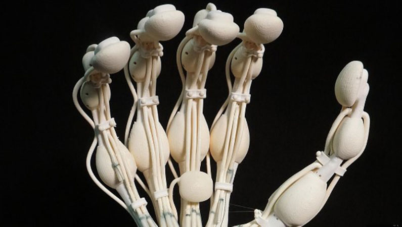 
			Esta mano robot en 3D tiene huesos, tendones y ligamentos		