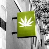 Could using medical cannabis for chronic pain increase AFib risk?