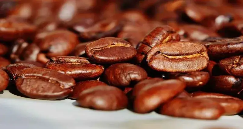 Caficultores de 10 estados exigen revisar costos y precios