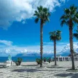Stunning view of palm trees along the seaside in Castellammare del Golfo, Sicily.