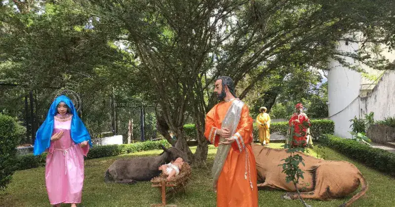 El pesebre y su diversidad se muestra en las regiones