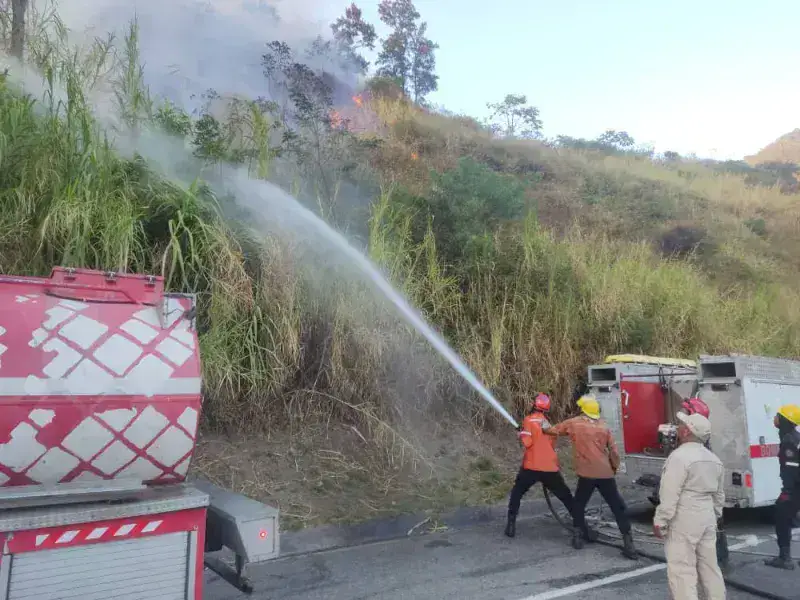 Efectivos combaten incendio en el Waraira Repano