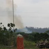 Reportan incendios en la Sierra de Perijá