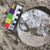 
			Hallan extraños huevos de dinosaurio cristalizados en China		