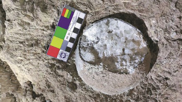 Hallan extraños huevos de dinosaurio cristalizados en China