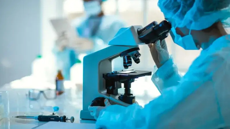 Un estudio abre una vía contra bacterias resistentes