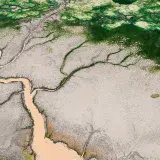 Delta Amacuro sigue sin claridad sobre la gobernadora Loa Tamaronis