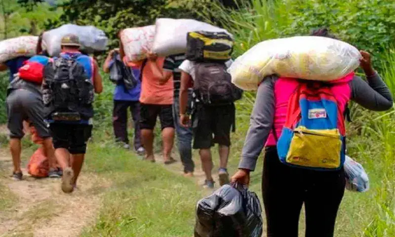 Panamá aplicará nuevos perfiles para impedir ingreso de "migrantes irregulares"