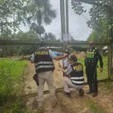 Detienen en Perú a siete por tráfico de fauna silvestre