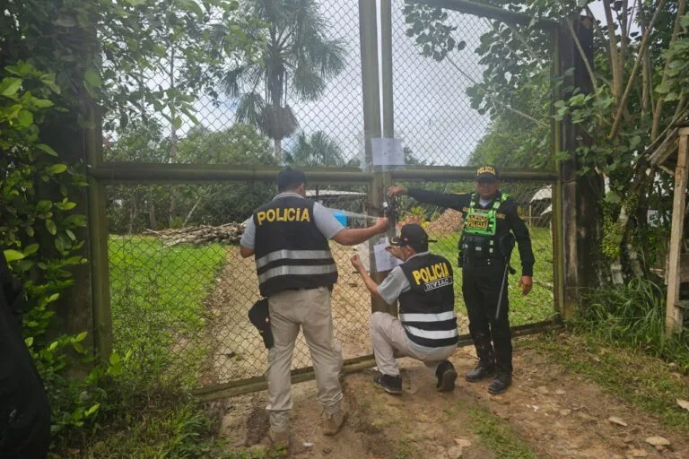 Detienen en Perú a siete por tráfico de fauna silvestre