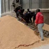 Un muerto y dos heridos en accidente de silo en Cojedes