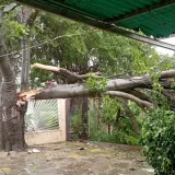 Fuertes lluvias causaron inundaciones y cortes eléctricos en Zulia
