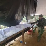 Trece campamentos Tancol fueron destruidos en las últimas horas