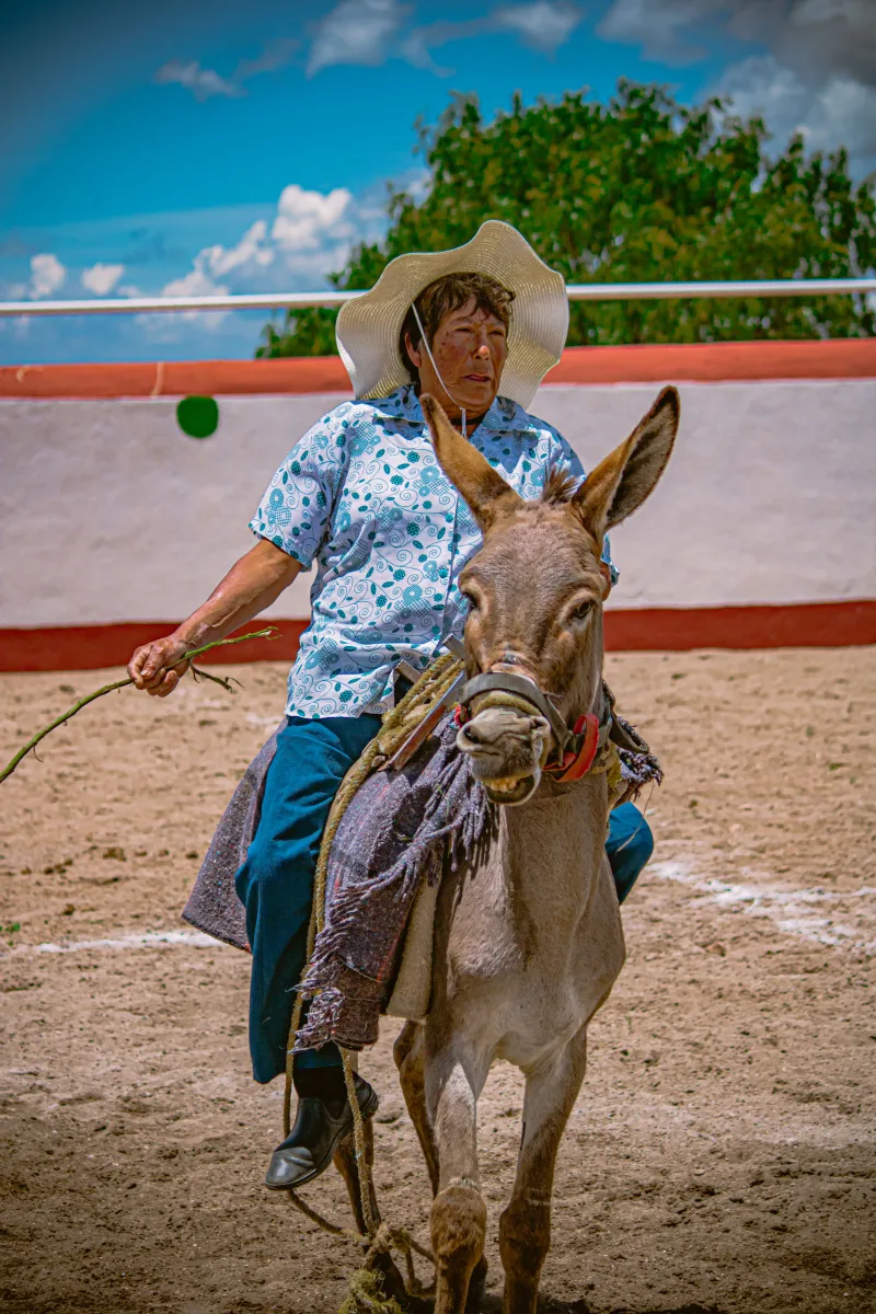 A woman in traditional attire rides a donkey at a cultural rodeo in Pachuca, Mexico.