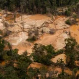 Acusan que el país perdió 1 millón de hectáreas entre bosques y sabanas