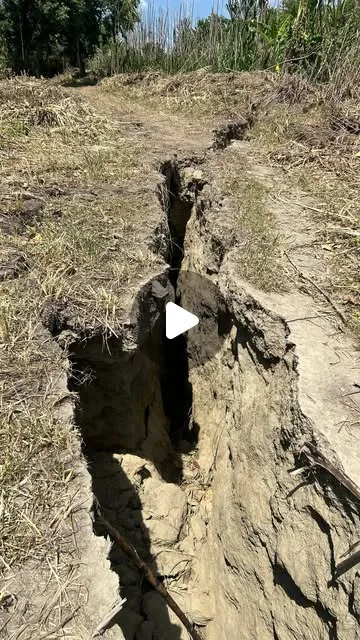 Publicación de Instagram de El Impulso
