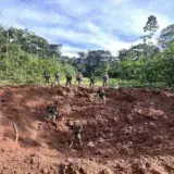 Seis muertos en un enfrentamiento en una zona cocalera de Perú