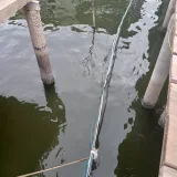 Vecinos de San Benito cumplen más de 15 años sin agua y cinco sin electricidad