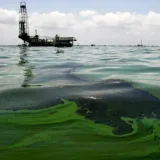 Inspeccionan barcos de recolección de crudo derramado en el Lago
