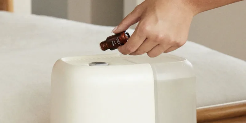 The 11 Best Humidifiers to Keep Skin Hydrated All Winter and Beyond