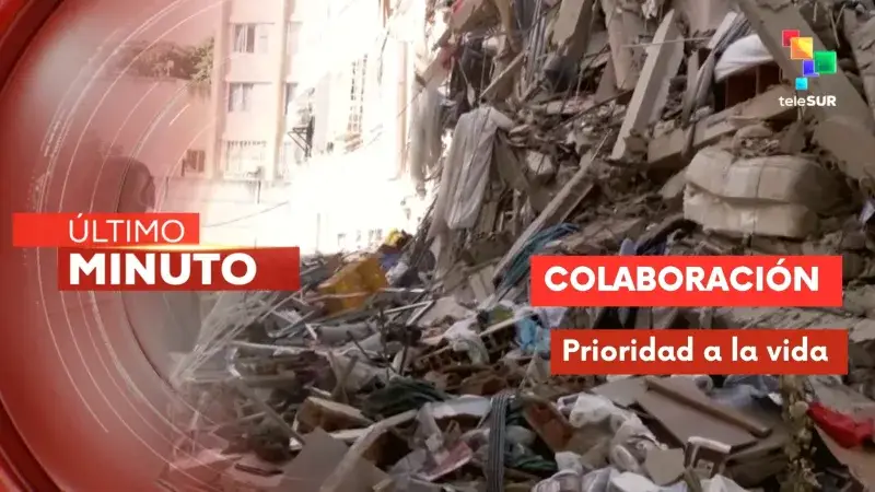 Rescatan con vida a Noche, el gato atrapado 33 días en San Bernardino