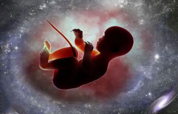 
			Empresa neerlandesa quiere hacer nacer bebés en el espacio		