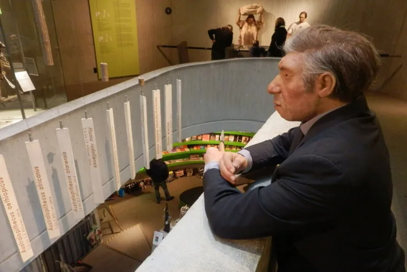Neandertales y sapiens se cruzaron, pero no lograron fusionar sus linajes
