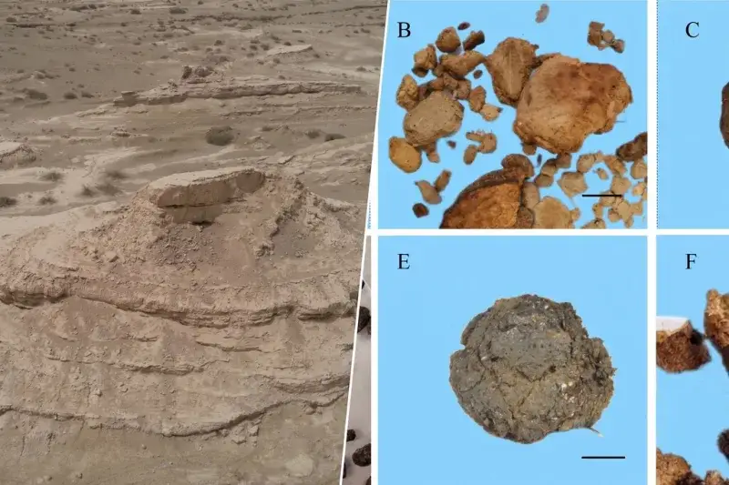 Un estudio revela un bosque en el Tarim hace 4.000 años