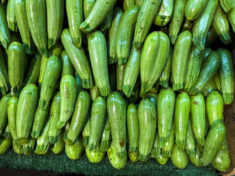 Conserva el calabacín: de la nevera a los meses