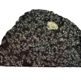 Un fragmento hallado en el Sáhara revela la destrucción de un protoplaneta del tamaño de la Luna